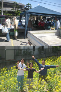 菜の花まつりの結果報告